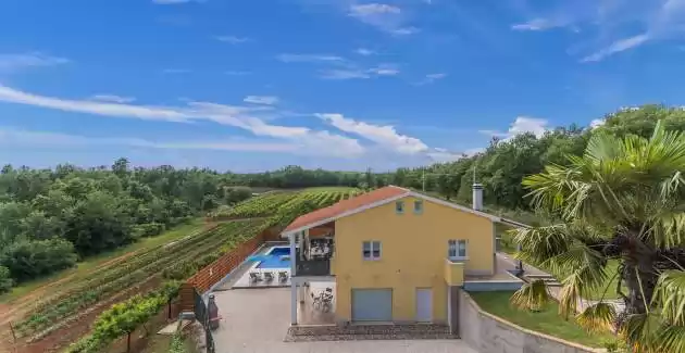 Villa Zupan mit eigenem Pool