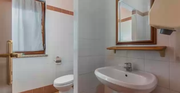 Apartman Narcisa