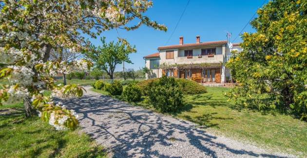 Apartment with Terrace in Filipana