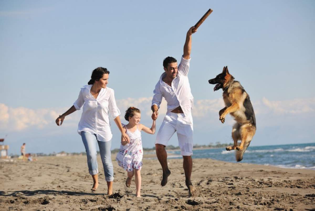 die Familie mit einem Hund auf dem Strand