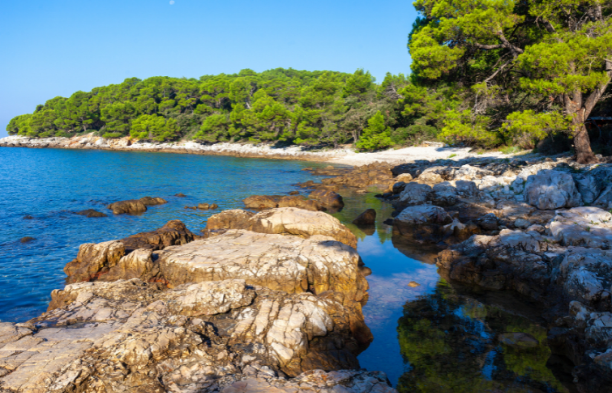 Strand Zlatni Rt Rovinj