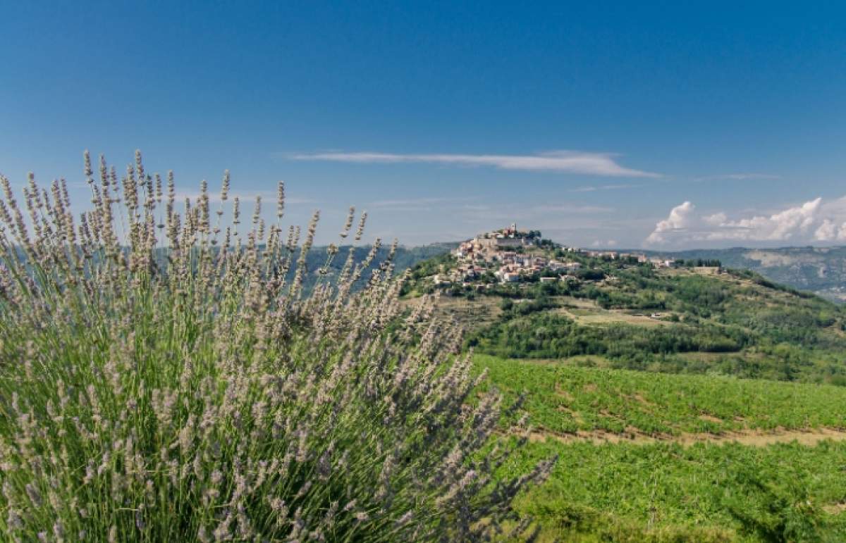 Motovun Istria