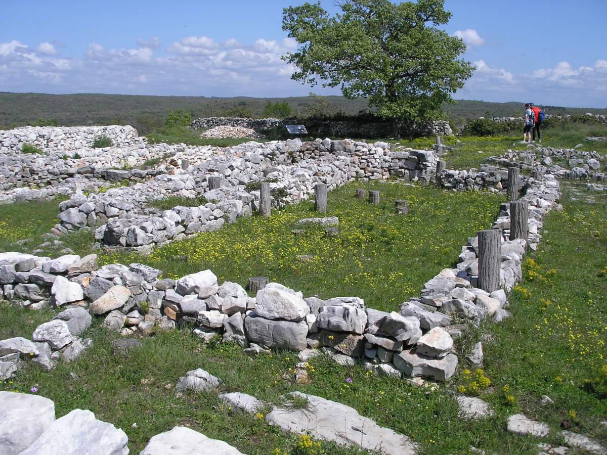 monkodonja ruins in Rovinj