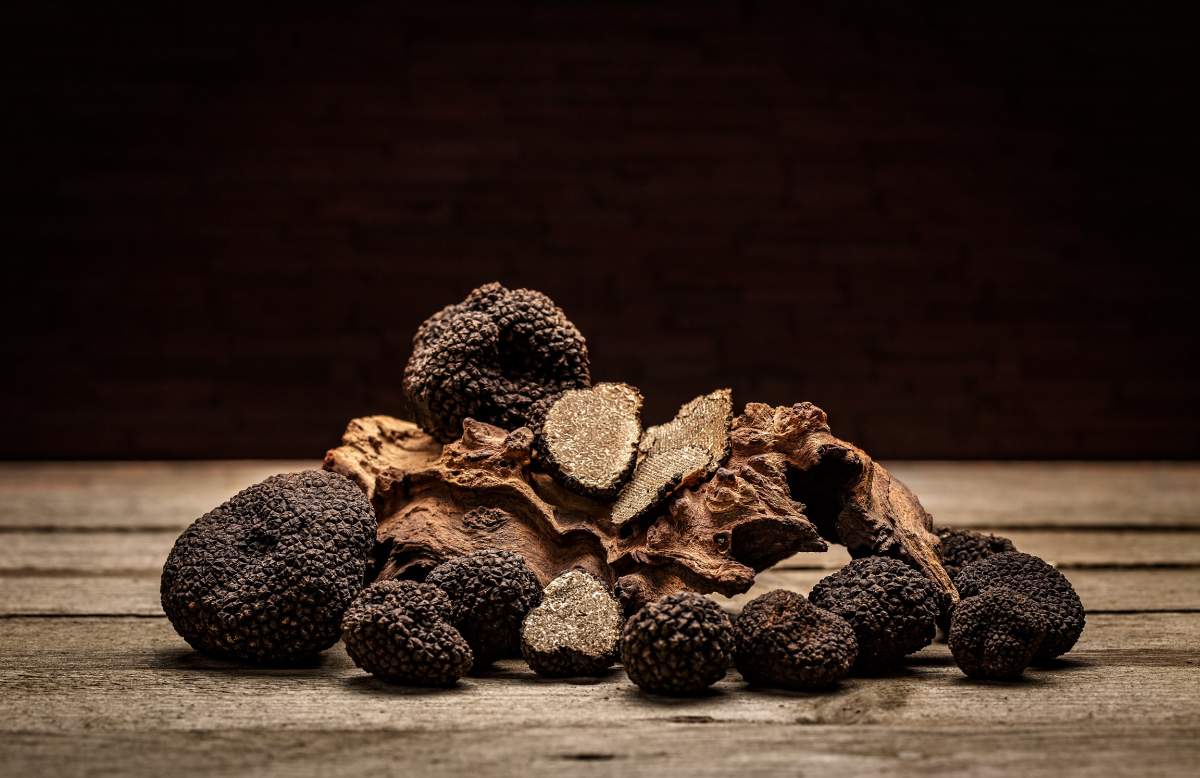 truffles in istria