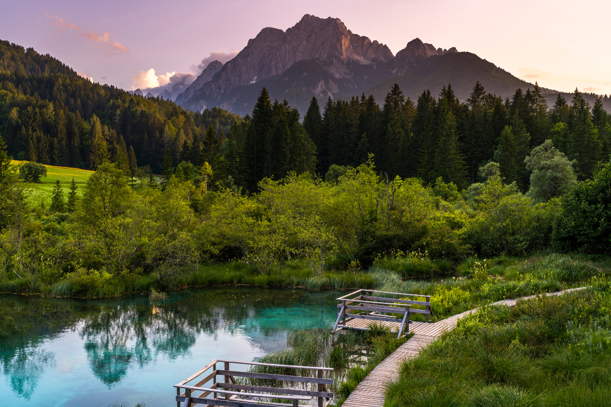 Kranjska gora in Fruhling