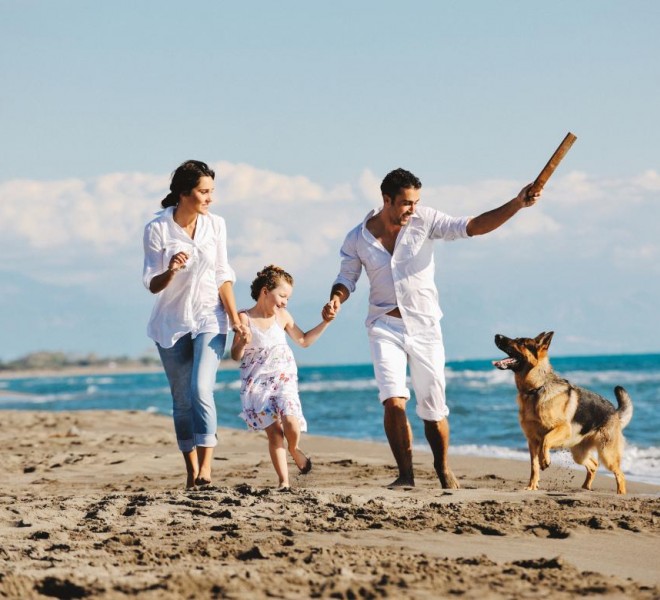 Dog friendly Holiday Home