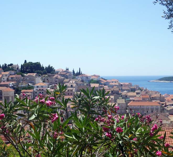 Apartments on the island of Hvar