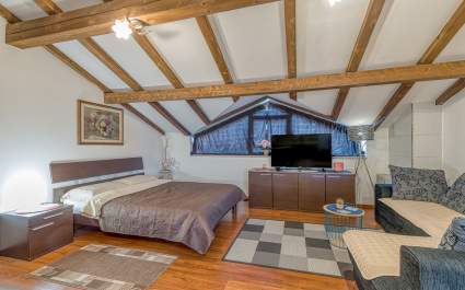 Monthly rent/Two Studio Apartments