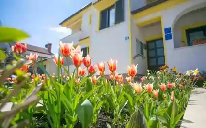 Ferienwohnung Matosevic I mit Terrasse