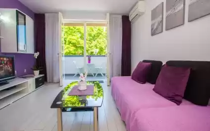 Apartman Mirjana s balkonom u centru grada