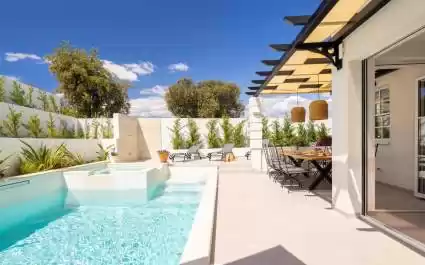 Vila Leylandii