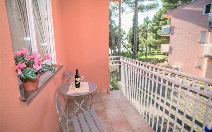 Lovely apartment Morena with Balcony 50 meter from the Beach