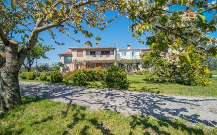 Apartment with Terrace in Filipana